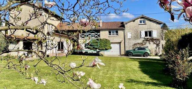 Annonce Vente 10 pices Maison Montanay 69