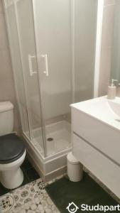Louer Appartement Grenoble 560 euros