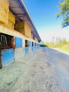 Acheter Prestige 100 m2 Nandax