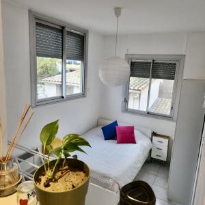 For sale CENTRE RIVE DROITE 2 rooms 34 m2 Herault (34250) photo 4