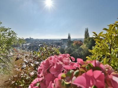 For sale CENTRE VILLE 6 rooms 124 m2 Maine et loire (49300) photo 4