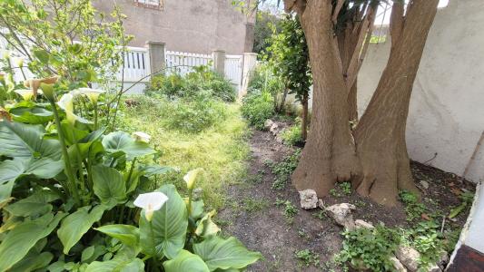 Annonce Vente 3 pices Maison  34