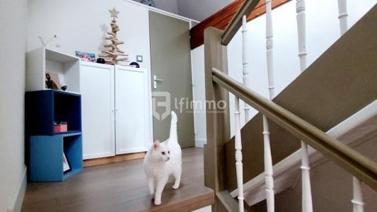 Acheter Appartement Lingolsheim 339000 euros