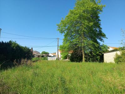 For sale Pont-saint-martin 777 m2 Loire atlantique (44860) photo 2