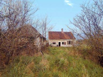 Annonce Vente 2 pices Maison Chambon 37