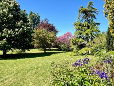 Annonce Vente 8 pices Maison Savigny-sur-braye 41