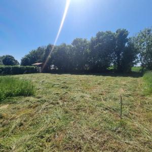 For sale Saint-benoist-sur-mer 542 m2 Vendee (85540) photo 1