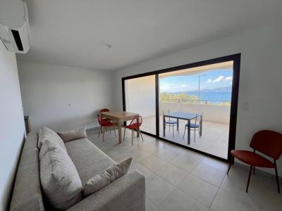 Acheter Appartement Pietrosella Corse