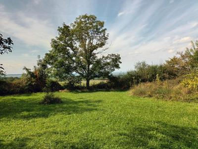 Acheter Maison Baudemont 136000 euros
