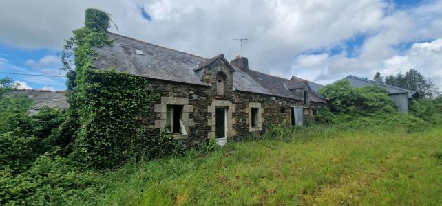 Annonce Vente 2 pices Maison Merleac 22