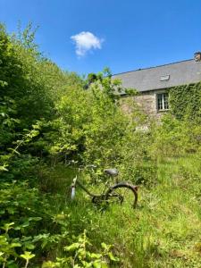 Acheter Maison Saint-gilles-vieux-marche Cotes d'armor