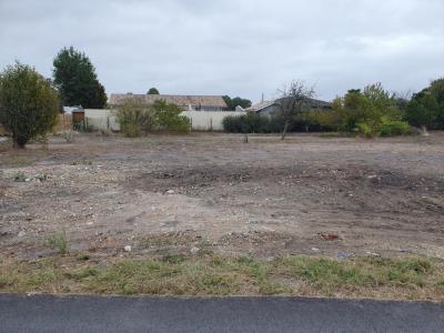 For sale Pian-medoc 1050 m2 Gironde (33290) photo 1