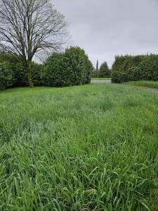 Annonce Vente Terrain Loriol-sur-drome 26
