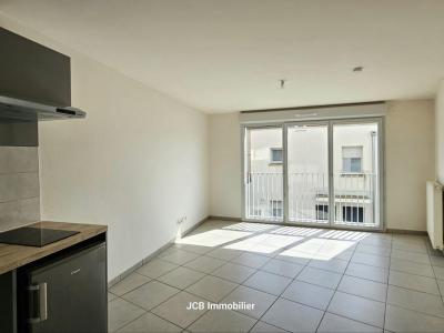 Annonce Location Appartement Toulouse 31