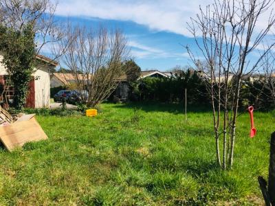 For sale Gradignan 1487 m2 Gironde (33170) photo 4