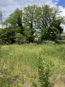 Acheter Terrain 300 m2 Floirac