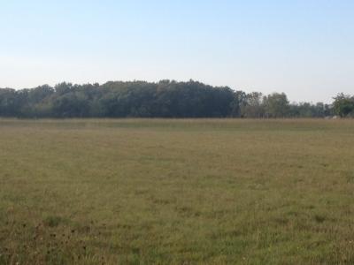 Annonce Vente Terrain Gastes 40