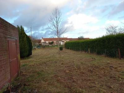 For sale Marles-les-mines 57 m2 Pas de calais (62540) photo 2
