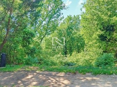 Annonce Vente 5 pices Maison Bagnols-en-foret 83