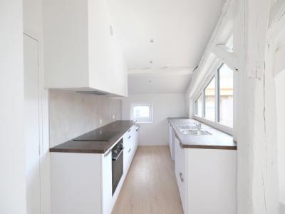 Louer Appartement Saint-etienne 1100 euros