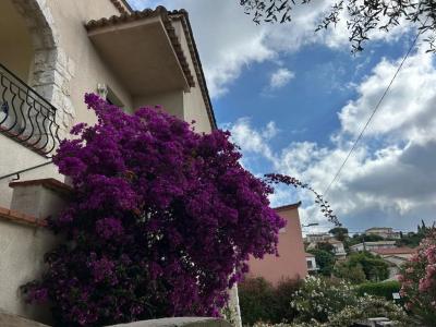 Louer Appartement Vence 950 euros