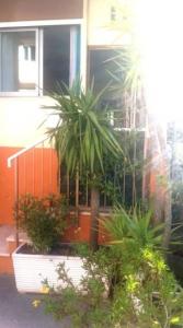 For rent Vallauris 1 room 18 m2 Alpes Maritimes (06220) photo 0