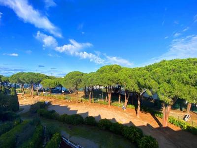 For sale PORT CAMARGUE PLAGE SUD 1 room 19 m2 Gard (30240) photo 1