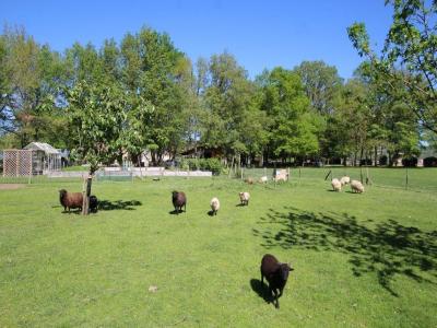 For sale PROCHE PAMIERS 11 rooms 365 m2 Ariege (09100) photo 2