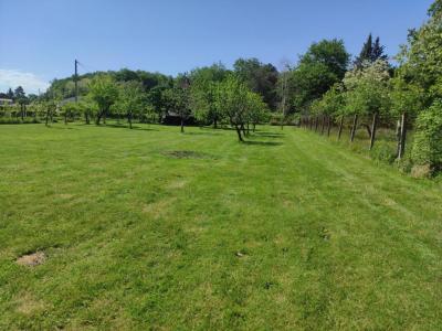 For sale Villeneuve-sur-lot 8 rooms 180 m2 Lot et garonne (47300) photo 3