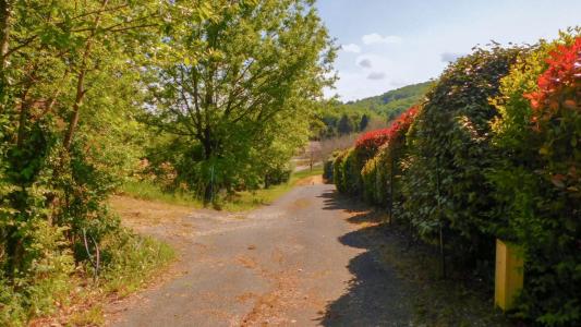 For sale Vitrac 2561 m2 Dordogne (24200) photo 4