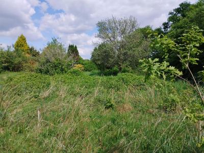 For sale Langonnet 1 room 63 m2 Morbihan (56630) photo 4