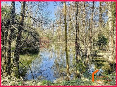 For sale Montreuil 6 rooms 195 m2 Pas de calais (62170) photo 3