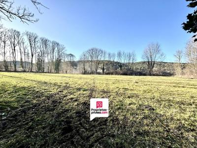 For sale Saint-pierre-le-chastel 3187 m2 Puy de dome (63230) photo 1