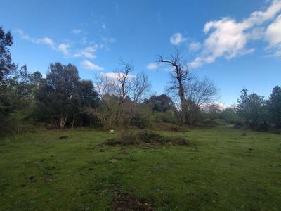 For sale Quenza 3000 m2 Corse (20122) photo 0