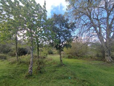 Annonce Vente Terrain Quenza 20