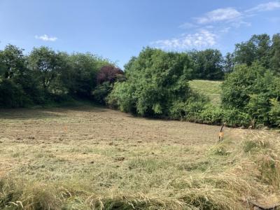 For sale Vienne 703 m2 Isere (38200) photo 0