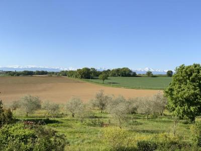 For sale Mirande 8 rooms 300 m2 Gers (32300) photo 1