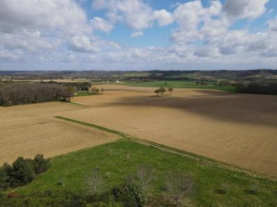 For sale Mirande 8 rooms 300 m2 Gers (32300) photo 4