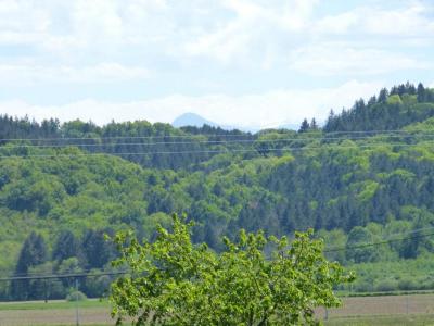 For sale Bonnefont 7 rooms 221 m2 Hautes pyrenees (65220) photo 3