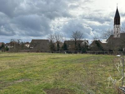 Annonce Vente Terrain Wittelsheim 68