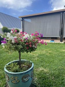 Annonce Vente 5 pices Maison Saint-benoit 974