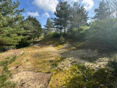 Annonce Vente 7 pices Maison Neufchatel-hardelot 62