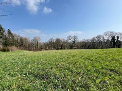 For sale Royeres 1535 m2 Haute vienne (87400) photo 0
