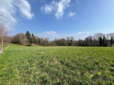 For sale Royeres 1535 m2 Haute vienne (87400) photo 2