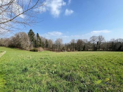 For sale Royeres 1535 m2 Haute vienne (87400) photo 3