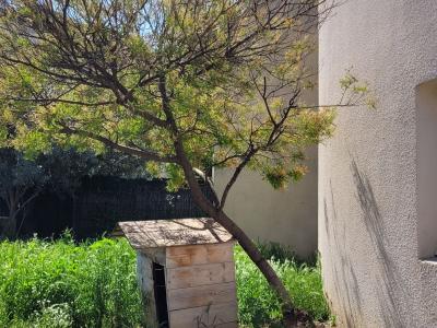 Acheter Maison 71 m2 Avignon