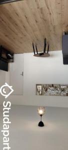 Annonce Location Appartement Pierre-benite 69