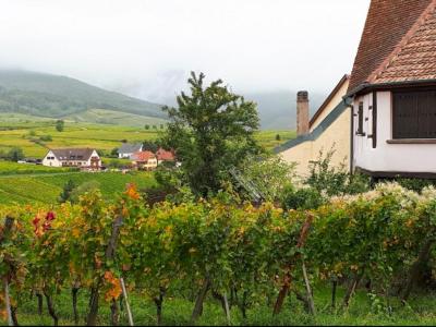 For sale Zellenberg 18 rooms 370 m2 Haut rhin (68340) photo 0