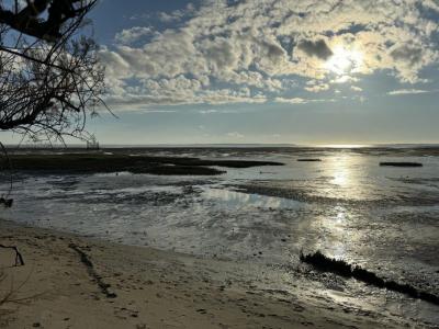 For sale Andernos-les-bains 4 rooms 115 m2 Gironde (33510) photo 0