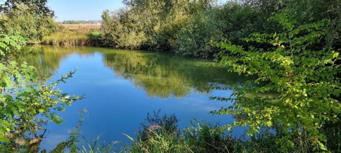 For sale 6000 m2 Yonne (89140) photo 3